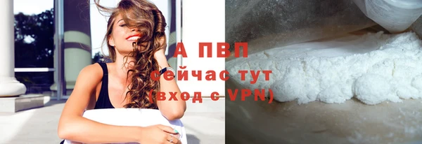 apvp Алзамай